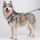 Sledding Dog Harness Reflective Strap  Adjustable   For -Black 5