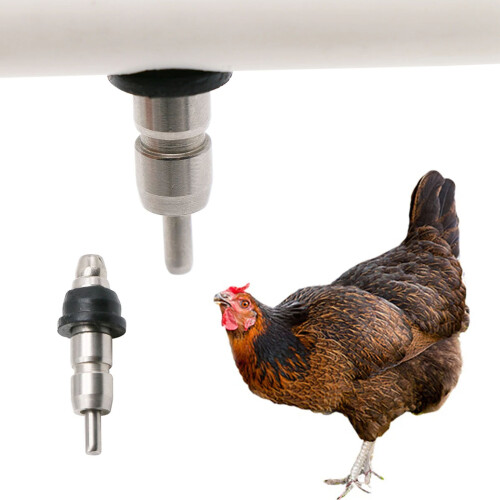 Baby Chick Friendly Waterer Easy Push Rod Triggering Rustproof 1