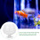 Clear Aquarium Fish Bowl Glass Betta Tank Desktop Hydroponic Vase 4