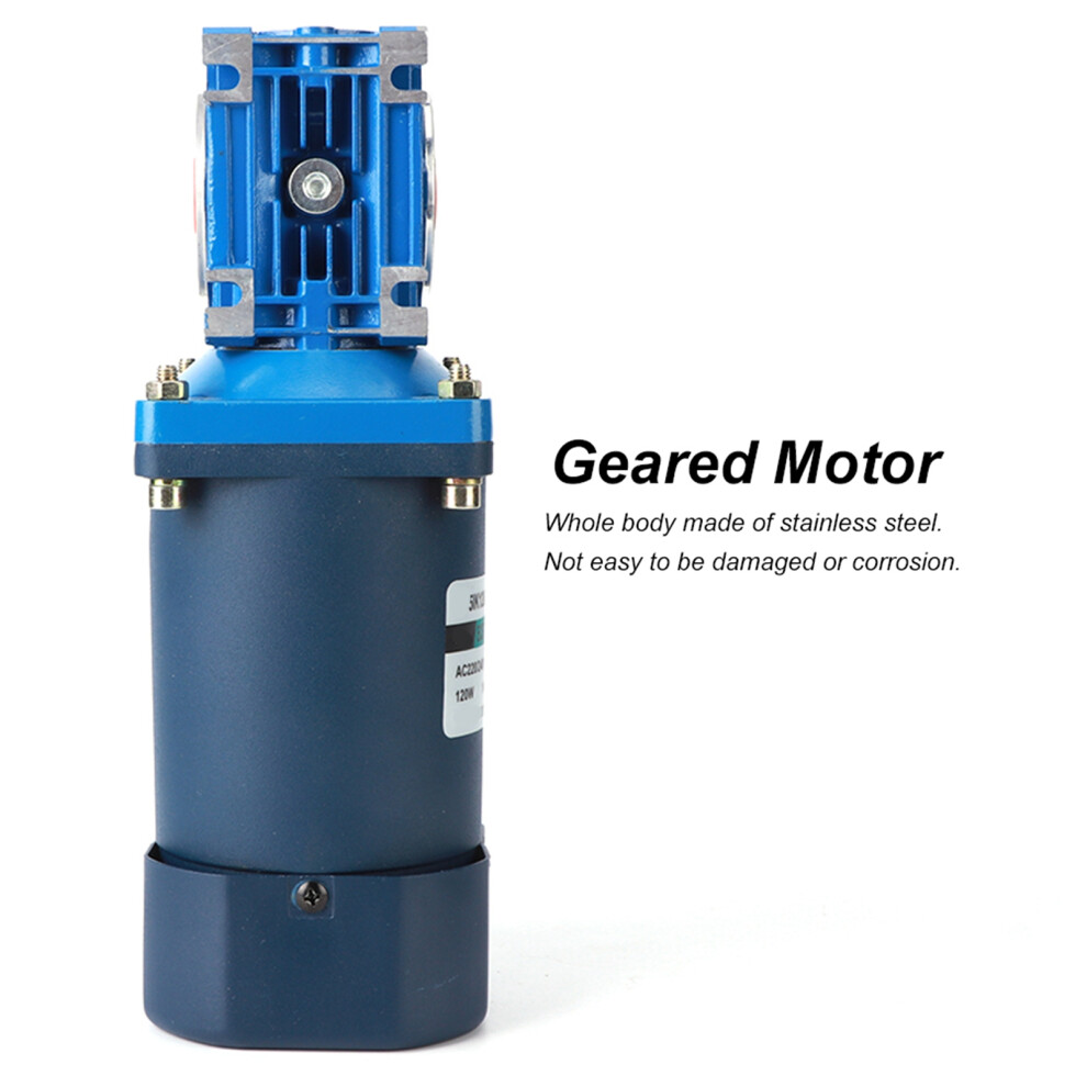 120W AC 220V Worm Gear Motor with Speed