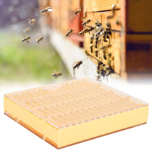 Plastic Bee King Incubator Free Move Beekeeping Breeding Box Harmless Durable