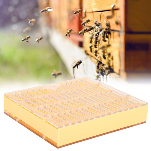 Plastic Bee King Incubator Free Move Beekeeping Breeding Box Harmless Durable