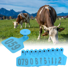 001-100 Blue Plastic Cow Ear Tag 70x60mm Livestock Marking