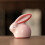 Pig Figurine Ceramics Teacup Spit Bubble Under Bottom-snake 6