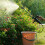 2000mAh Powered Liquid Distributor For Flowers Car Washing-3 3