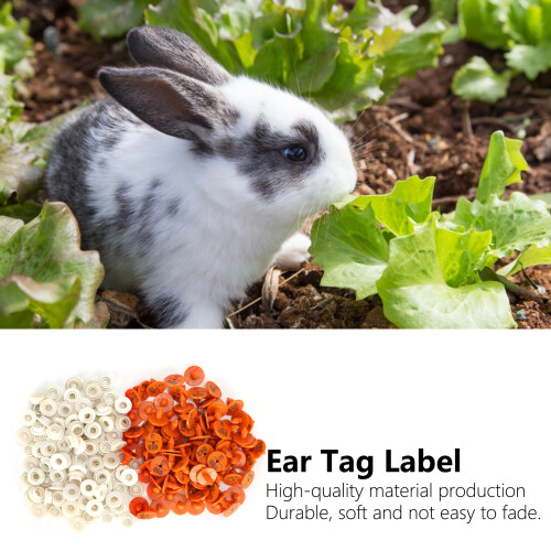 100 Sets Plastic Ear Tags for Rabbits, Small Animals, 1.75x1.75cm