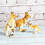 Highly Simulation PVC Animal Model Toy for Kids Ages 3+ – Multiple Types 12