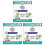 (3 Boxes) Sensitive Teeth Whitening Strips, Professional At-Home Kit 1