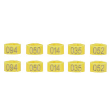 Pigeon Identification Rings 100Pcs 10mm Bird Foot Bands Poultry Supplies Yellow