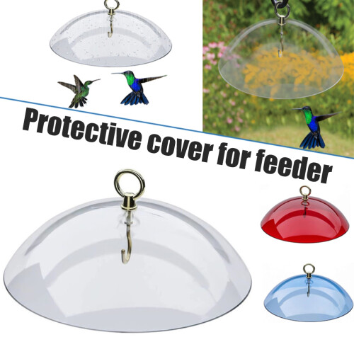 Bird Feeder Baffle Weather Guard 1