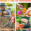 Garden Pruning Shears, 3 Pcs Stainless Steel 8