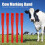 Cow Identification Collars 10-Pack 1