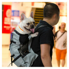 (XL, Gray) Adjustable Pet Dog Outdoor Travel Backpack For Hiking Cycling Carrier Bag For Dogs French Bulldog Pug Carrying Bags