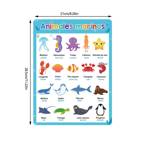 10Pcs Colorful Vocabulary Teaching Posters For-spanish 1