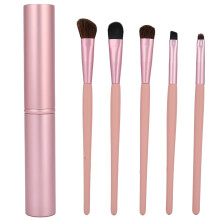 5pcs Professional Eye Shadow Brush Set Nylon Hair for Daily Makeup