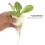 50PCS Hydroponic Plant Root Fixing Baskets 54x37x35mm Black 2