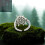 Gothic Style Bloody Spiders Web Ring With Black Amethyst Stone 5