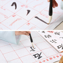 Brush Calligraphy Set with Wolf Brushes for Practice, Reusable Water Writing Cloth