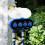 Automated Two Line Sprinkler Controller For bushes Featuring 2