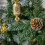 Homcom HOMCOM 5FT Artificial Christmas Tree Xmas Indoor Decoration, Automatic Open 8