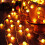 LED Star String Lights, 9.8ft, 20 Bulbs, Battery Powered 5