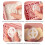 Cornstarch Container for Polymer Clay,Polymer Clay Tools Kit,Leak-Proof Snap-Lock Powder Container White 5