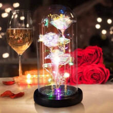 Eternal Rose Under Glass Dome, Birthday Gift for Women, Artificial Rose Dome with LED, Romantic Gift