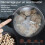 Coffee Grinder - Multifunctional Grain Mill - 400W Spice and Grain Mill 2