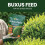 Vitax Vitax Buxus Feed 1kg Feed for long-term soil enrichment 6