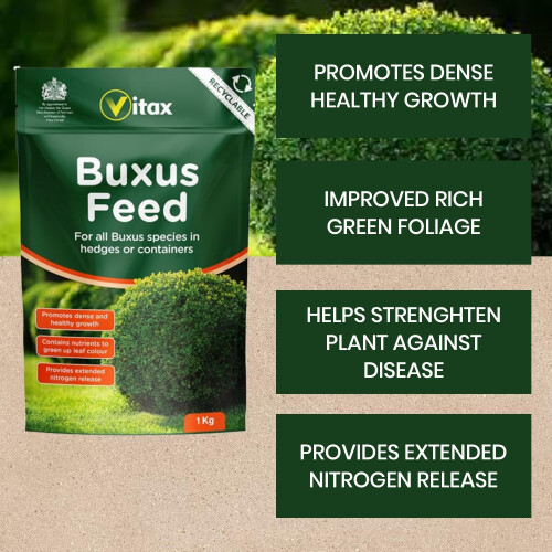Vitax Vitax Buxus Feed 1kg Feed for long-term soil enrichment 2