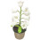 Νυχτερινό φωτιστικό Lily of the Valley, πλεκτό φωτιστικό LED με λουλούδια, διακόσμη 1
