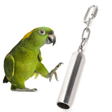 Durable Stainless Steel Bird Bell Toy for Parrots Macaws & Greys Small Size
