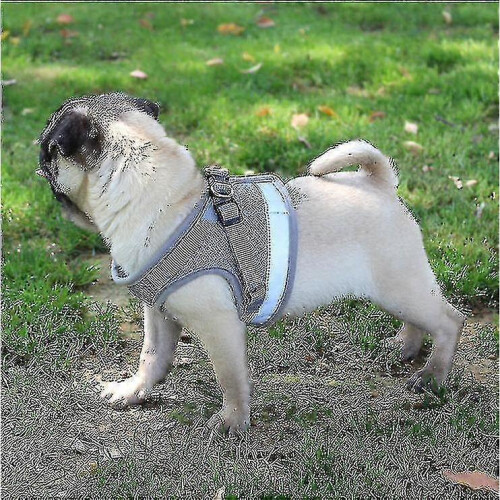 (S,Blue)Cat Harness, Cat Harness Escape Proof G 2