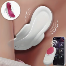 Panty Vibrators Adult Sex Toys Wearable Vibrator