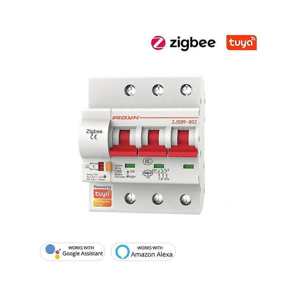 (25A 2) 1P/2P/3P/4P Tuya Zigbee Smart Circuit Breaker 16A-125A Automatic Switch Overload Short Circuit Works 3044099845811