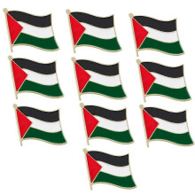(2pcs) 10pcs Coat of Arms of Palestine Palestinians Map Flag National Emblem Brooch Badges Lapel Pins