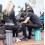 (grey) Upgraded Folding Stool, Telescopic & Portable 3