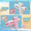 Prank Two Way WaterGun, Prank SquirtGun Can Spray from Front and BackSON 5