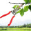 Double-edged Apple Picking Scissors Yangjiang Kiwi Pear Thinning Scissors 1