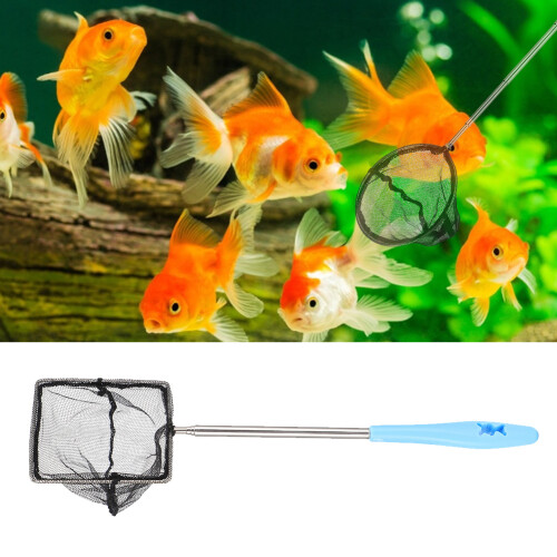 Stainless Steel Extendable Fish Net with Long Handle, Square & Round Options 2