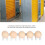 5Pcs Poultry Farm Egg Picker Kit 1