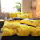 (220*240cm,pink)Coral Velvet Duvet Covers Thicken Bedding Set 2