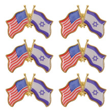 6St Patriotische Pinnen Met Zilverkleurige Israël En Amerika