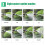 8-Pattern Water Sprayer Set, ABS + Rubber, 15x10.5x6.3cm 10