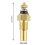 Water Temp Meter 52mm/2in LED Backlit for EVO Series - Black 9