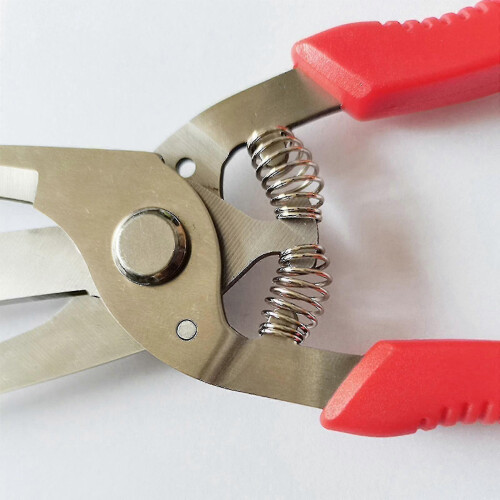 Double-edged Apple Picking Scissors Yangjiang Kiwi Pear Thinning Scissors 2