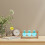 1Ensemble Vase Hydroponique En Bois Pour Décoration De 3