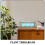 1Ensemble Vase Hydroponique En Bois Pour Décoration De 4