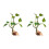 Artificial Vine for Lizards and Snake Providing Safe-20 1