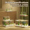 Small Frameless Fish Bowl Shatterproof Clear Acrylic Desktop-XL 4